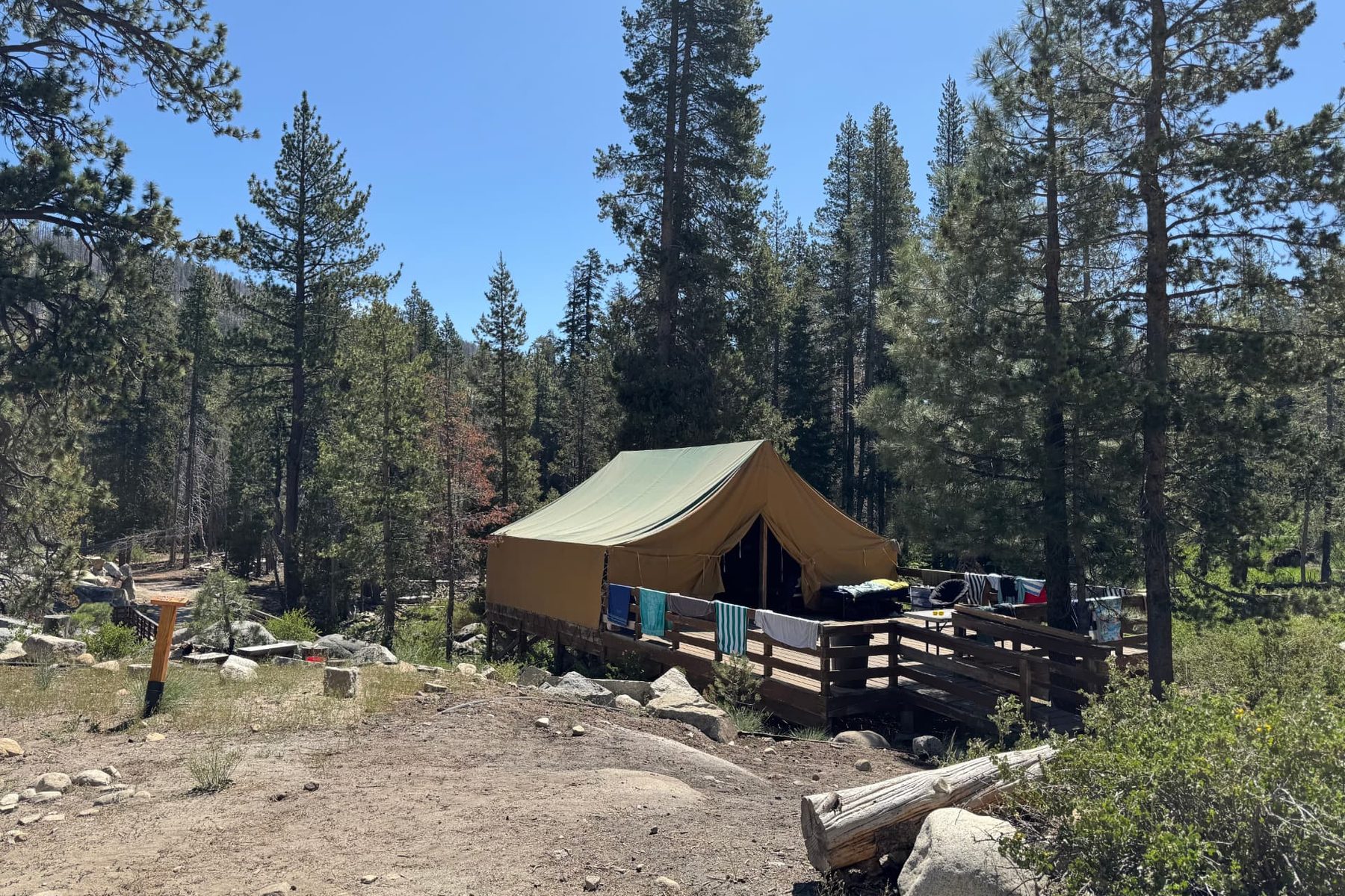 A canvas platform tent on a wooden deck in the pines