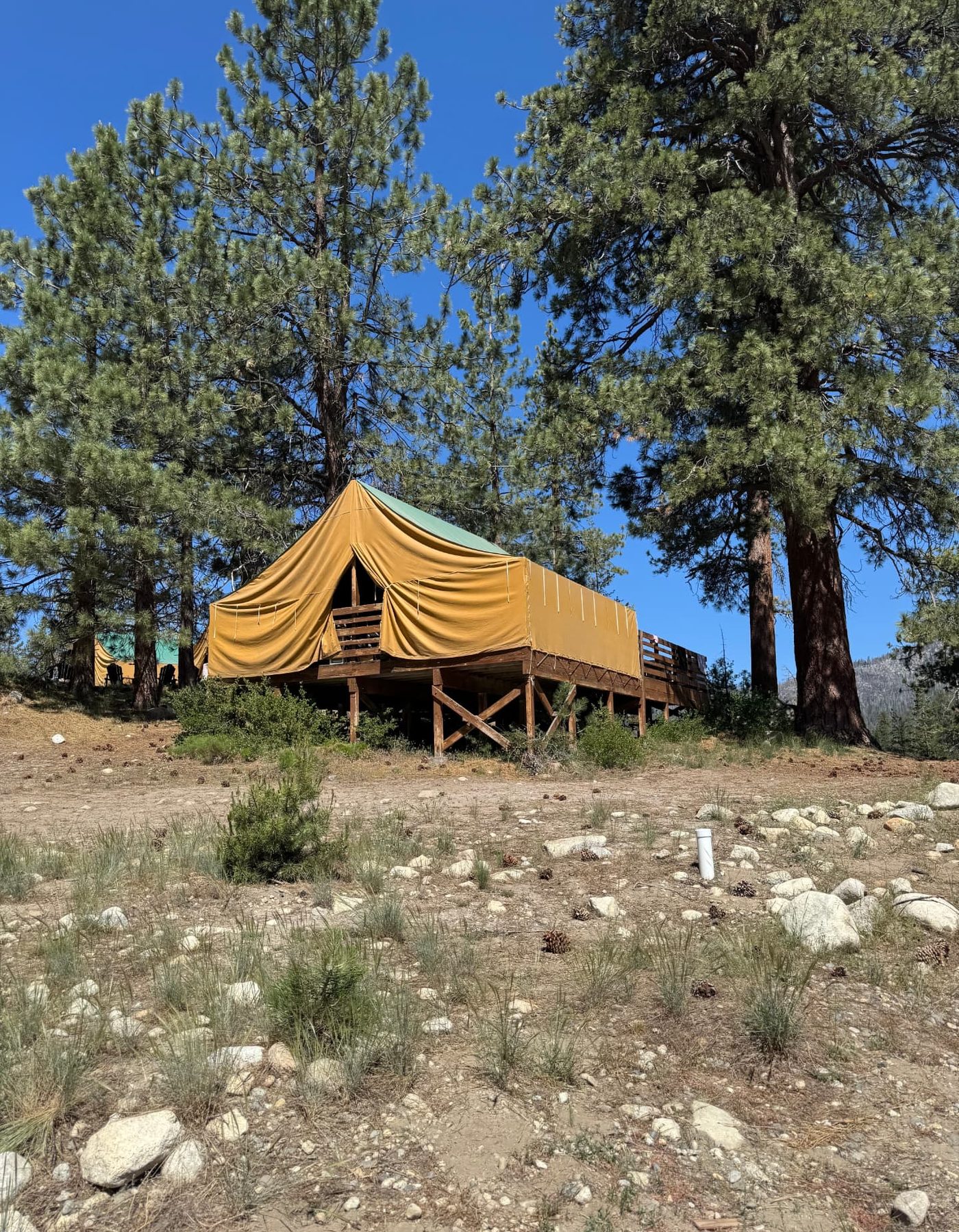 A canvas tent glowing at golden hour